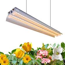 Because of high output t5 fluorescents low heat, the light can be placed closer to the plants resulting in greater light intensity when compared to metal halide lamps. Top 5 4ft Led Grow Light For Indoor Plants On 2021