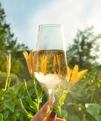 The Ultimate Alternative To Champagne Is Versatile Affordable And Increasingly Available Natural Wine Wine Bottle Carrier French Wine