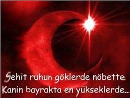 Turk Oglu Ruzgarlar Olsun Sana At Dogudan Batiya Mujdeler Tasi Gazi Yi Gonlunun Icinde Yasat De Ki Zafer Olsun Onun Yoldasi C Bayrak Resim Karmakarisik