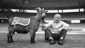 Mascot hennes viii in 1963, fc köln was selected as one of the original 16 teams to play in the bundesliga, germany's new professional football league. Hennes The Billy Goat Is Cologne S Lucky Charm Sports German Football And Major International Sports News Dw 10 02 2012