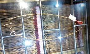 Maybe you would like to learn more about one of these? 7 Toko Emas Di Surabaya Review Alamat