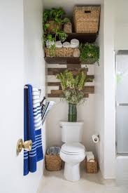 Erick S Modern Organic Burbank Mix Bathroom Plants Decor Bathroom Plants Small Bathroom