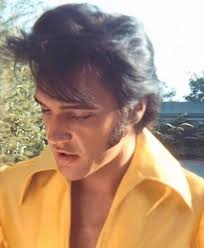 Elvis is the most talented singer of our time and God created the most  handsome man