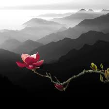 Kết quả hình ảnh cho Hình ảnh về thơ ca