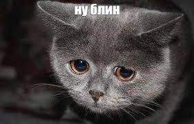 ну ну ну ну ну ну ну ну ну ну Nu Blin