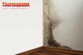 We did not find results for: Anti Mould Paint Thermapaint Mould Proof Paint Anti Fungal Paint