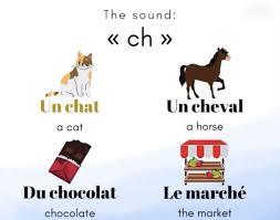 Pin By Bill Glaser On French 2 In 2020 Horses Cats Convenience Store Products