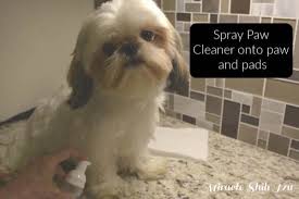 Great news!!!you're in the right place for carpal tunnel pad. Shih Tzu Dog Paw Pad Problems