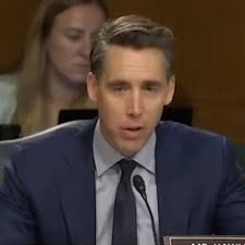 Hawley roasts Dem colleagues to their face for lying about Biden's health