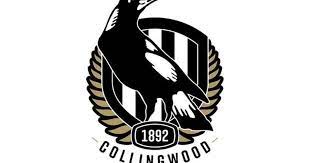 2018 collingwood board supercoach leagues. Two Board Changes Announced