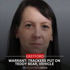 State police charged this woman with electronic stalking. Read the arrest  warrant below.