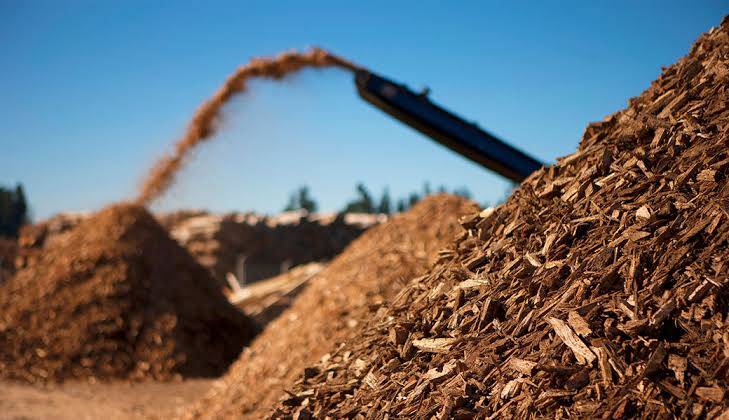 post-harvest wood debris