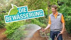 Automatische garten beregnungsanlage für ihren garten günstig kaufen!. Die Bewasserung Tipps Und Tricks Fur Den Eigenen Garten Youtube
