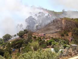O incêndio que lavra em monchique já passou para o concelho de portimão e obrigou à evacuação de duas casas e de um lar de idosos na pereira, junto ao autódromo de portimão. Cagwbypohx0h8m
