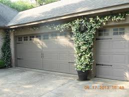 Confederate Jasmine Growing Between Garage Doors Confederate Doors Garage Gardengaragei Garage Doors Confederate Jasmine Garage Exterior