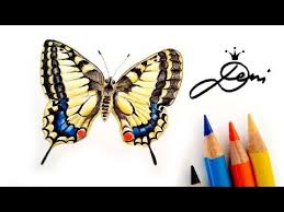 Иллюстрация фредерика де ханена, ок. Schmetterling Zeichnen Schwalbenschwanz Malen How To Draw A Butterfly Kak Se Risuva Peperuda Y Schmetterling Zeichnen Schmetterlingskunst Schmetterling Malen