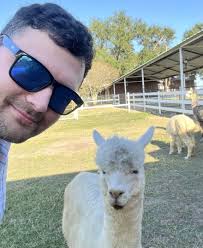 Peeka Ranch, a haven for Alpacas in Burton, Texas