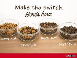 Wheat, beef, dairy, eggs and chicken are all common sources of sensitivity. Changing Dog Food How To Switch Dog Food Dog Food Recipes Healthy Dog Food Recipes Raw Dog Food Recipes