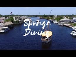 Find a mobile home park, mobile home community, manufactured home community, multifamily housing, land lease community or trailer park near tarpon springs, fl. Visit Tarpon Springs Fl Visit St Petersburg Clearwater Florida