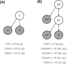We did not find results for: A Unifying Bayesian Account Of Contextual Effects In Value Based Choice