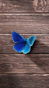 اجمل خلفيات ايفون 7 عالية الدقة 2018 Iphone 7 Hd Wallpapers Tecnologis Butterfly Wallpaper Butterfly Wallpaper Iphone Butterfly Pictures
