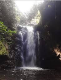 Lokasinya pun strategis, yakni 4km dari pusat kota. 29 Daftar Tempat Wisata Di Banyuwangi Jawa Timur Harus Kamu Kunjungi Ihategreenjello