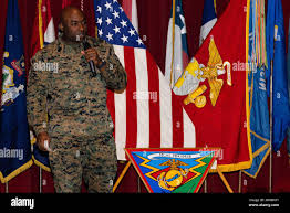 A native of memphis hi-res stock photography and images