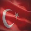Sokak Hayvanlarina Yardim Etmek Neden Onemlidir Aciklayiniz Eodev Com