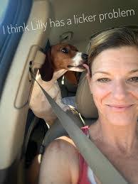 Beth Mong's Instagram, Twitter & Facebook