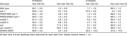 Melanocytes are another type of cell in the epidermis that are present throughout the basal layer. Specification Of Cell Types In The Root Epidermis Download Table