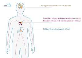 Release lithium immediate release lithium extended release buy generic lithobid i want to buy lithobid c.o.d. Lithium Prescribing And Monitoring In Clinical Practice A Primer
