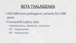 Beta thalassemia is a common inherited disorder in individuals of mediterranean, african and south asian descent. Genetic Carrier Screening Danielle M Esters Md Carrier
