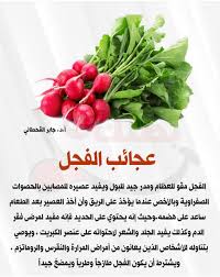 جاليريا مول Local Business Facebook 2 179 Photos