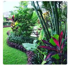 Garden For Beginners Timeline And Big Balcony Garden Ideas Tropical Landscape Design Tropical Garden Design Tropical Garden