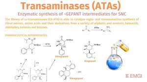 Image result for Gepant