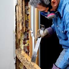 If rats are entering through floor drains, seal these with hardware cloth with mesh. Termite Control Armor Defense Termite Pest Control