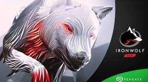 Seagate IronWolf NAS Hard Drive 