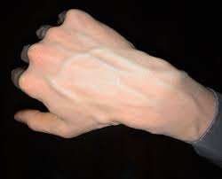 veiny hand | Pretty hands, Male hands, Hands