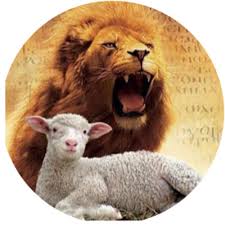 It is through the blood that jesus shed on the cross that we can say that we are victorious. 280 The Lion The Lamb Ideas In 2021 Lion And Lamb Lion Lamb