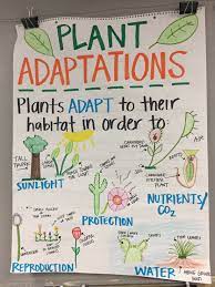 Plant Adaptations Anchor Chart Science Anchor Charts Plant Adaptations Anchor Chart Plant Adaptations
