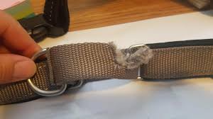 Check spelling or type a new query. Petsafe Deluxe Easy Walk Dog Harness Dog Harnesses Petsmart