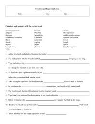 4 Set Circulation And Respiration Worksheets With Keys Spelling Bee Words Life Science Muscular System Anatomy