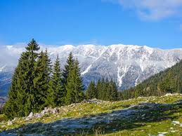 Easy winter hiking in the Carpathians - RomaniaTourStore