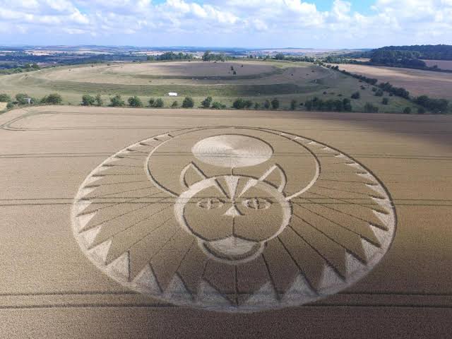 Crop circle appears at Figsbury Ring | Salisbury Journal