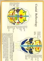 Cranial Reflexology A4 Chart