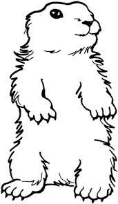 Coloriage Marmotte Coloriages A Imprimer Gratuits