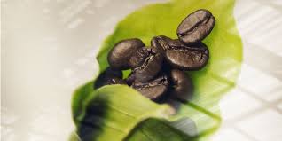 For informational purposes, the product details and customer reviews are provided. Home Iperespresso Espresso Coffee Capsule Machine Y3 3 Illy