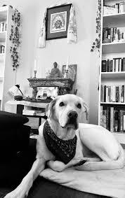 Casey Burkett, Counselor, Garden City, ID, 83714