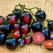 Tomate Indigo Rose Graines Vegetable Seed Garden Supplies Green Cherries