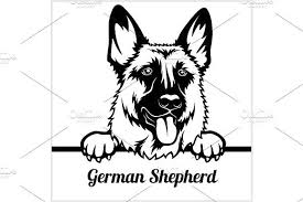 Black Bernese Mountain Dog Clipart German Shepherd Peeking Dogs Dog Clip Art Dog Peeking Bernese Mountain Dog